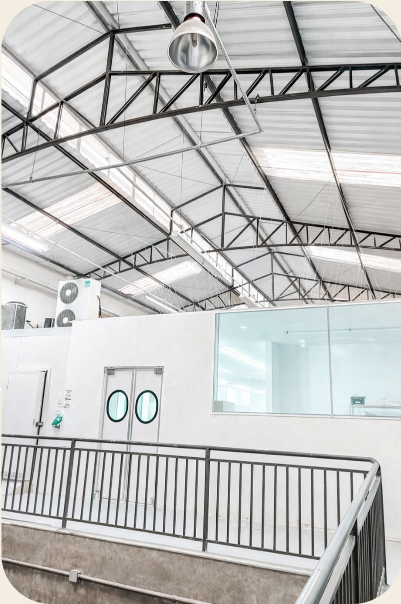 Estrutura interna de uma fabrica, paredes brancas e portas.